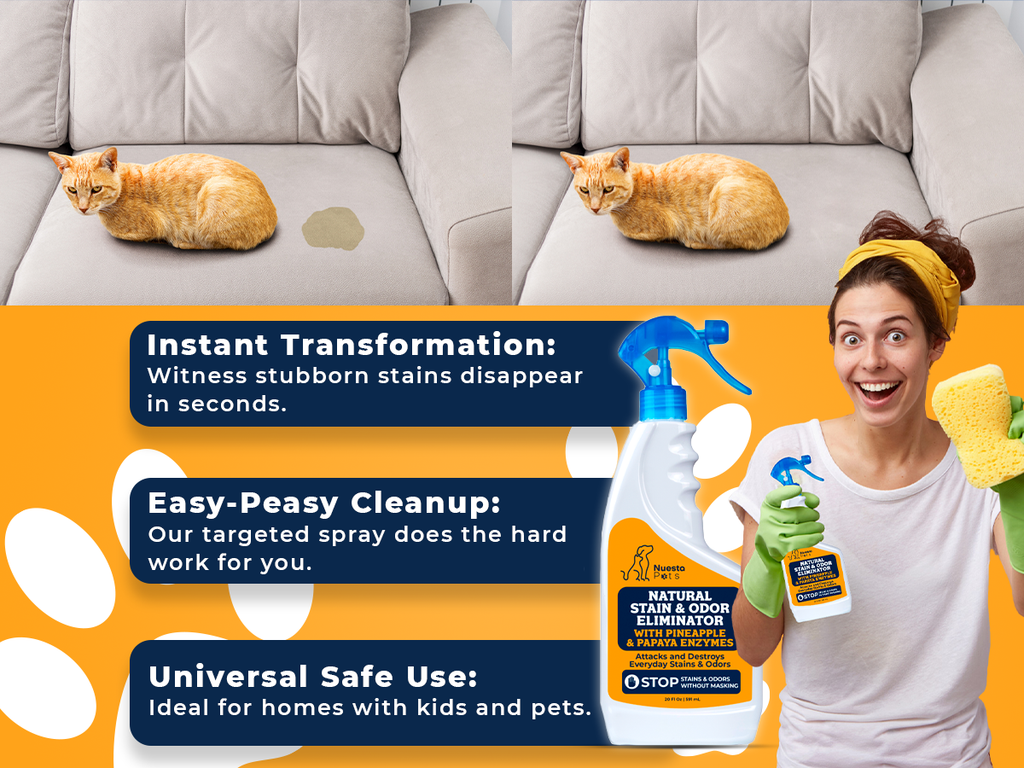 Pineapple & Papaya Enzyme Pet Stain & Odor Eliminator