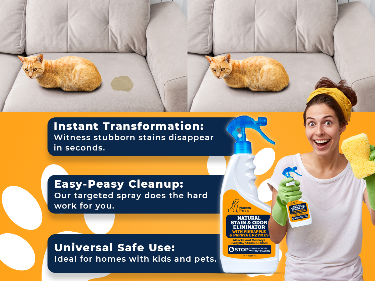 Pineapple & Papaya Enzyme Pet Stain & Odor Eliminator