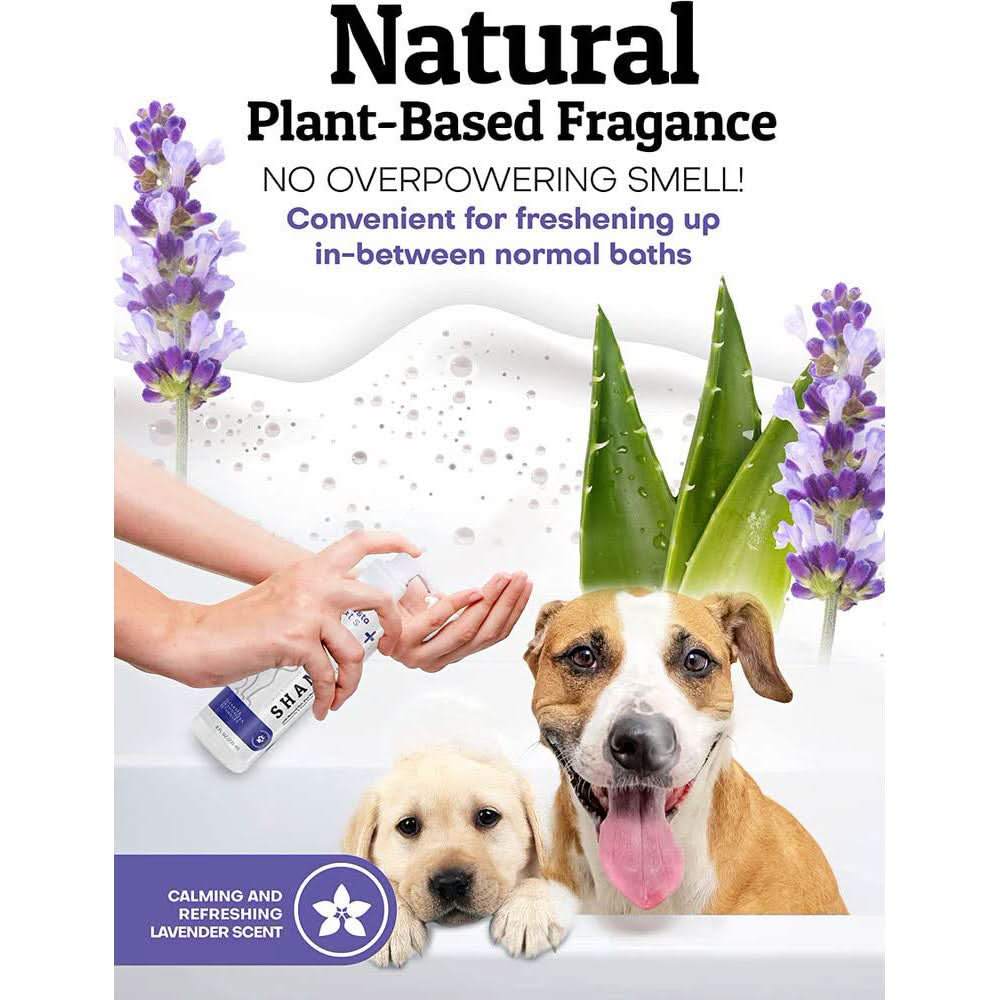Waterless Lavender Shampoo for Dogs