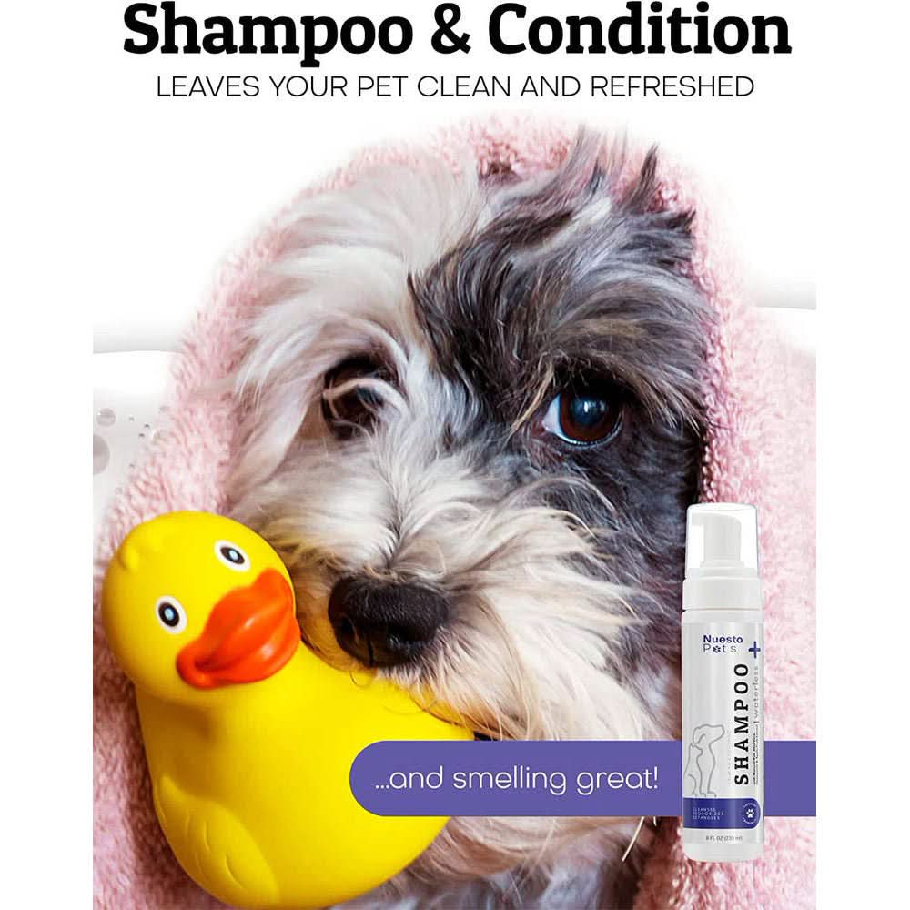 Waterless Lavender Shampoo for Dogs