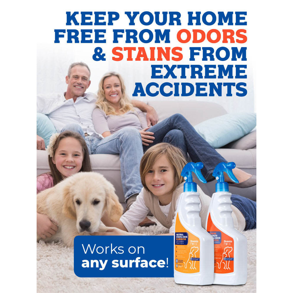 Stain & Odor Combo Pack