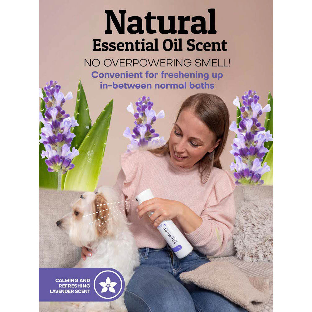 Waterless Lavender Spray-On Dog Shampoo