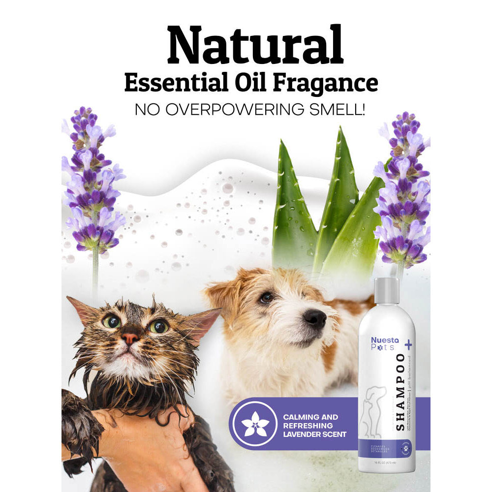 Lavender Pet Shampoo for Dogs