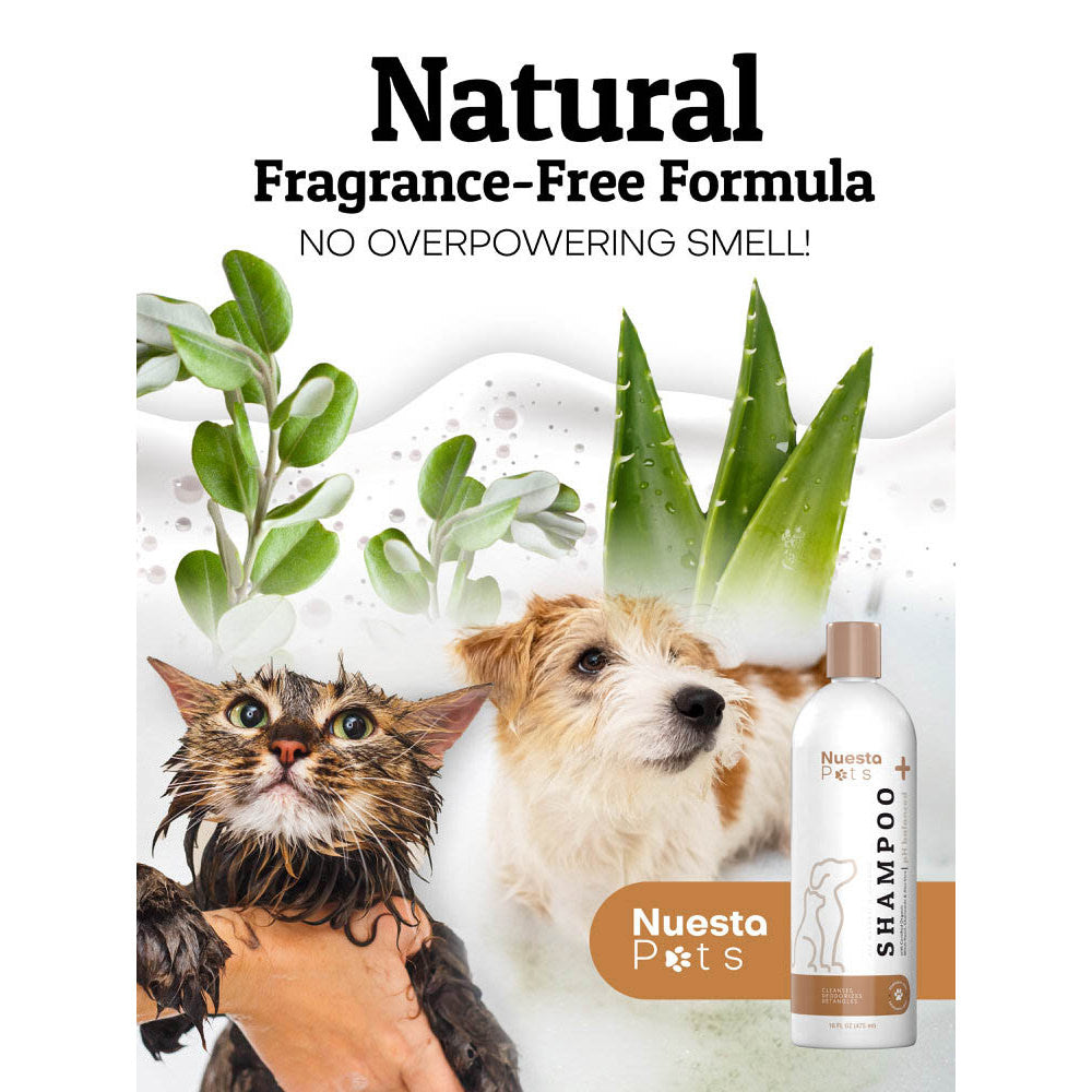 Hypoallergenic Oat Pet Shampoo for Dogs & Cats