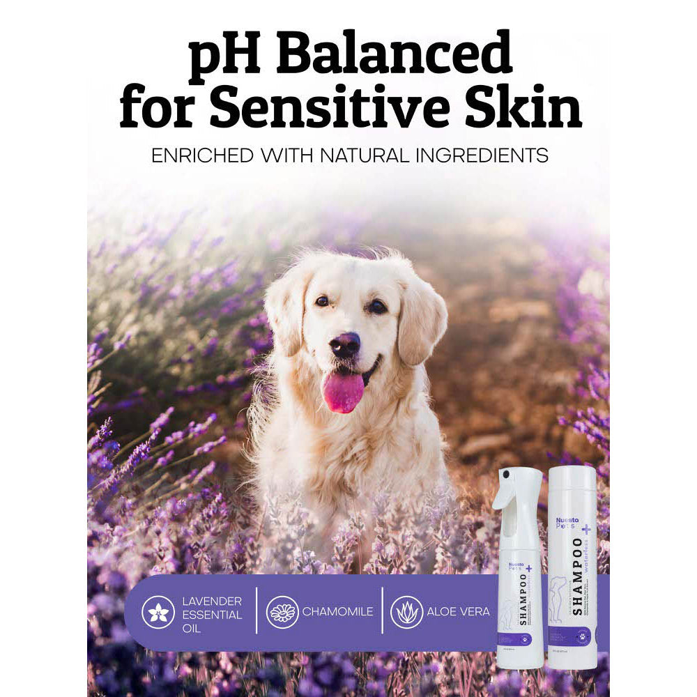 Waterless Lavender Spray-On Dog Shampoo
