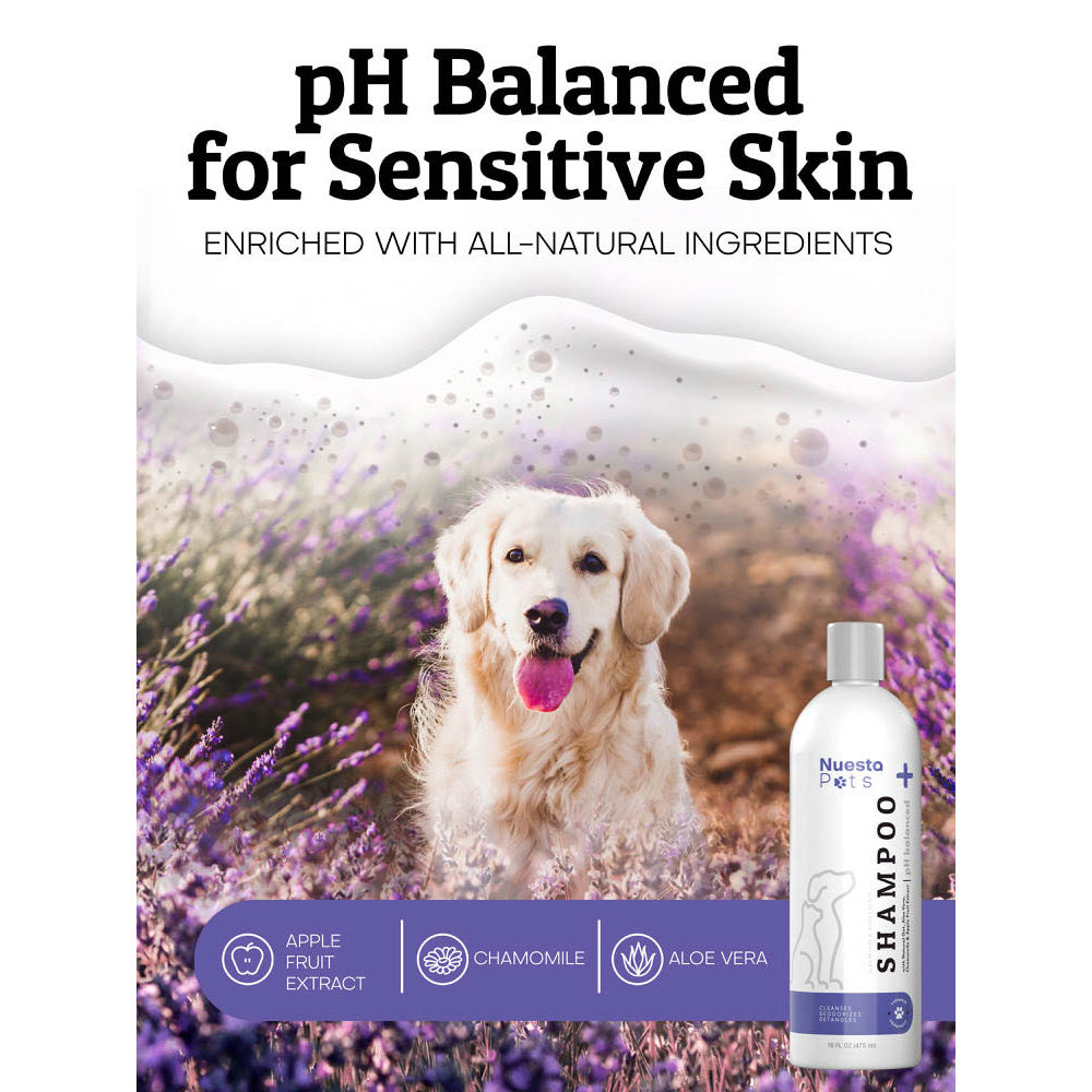 Lavender Pet Shampoo for Dogs