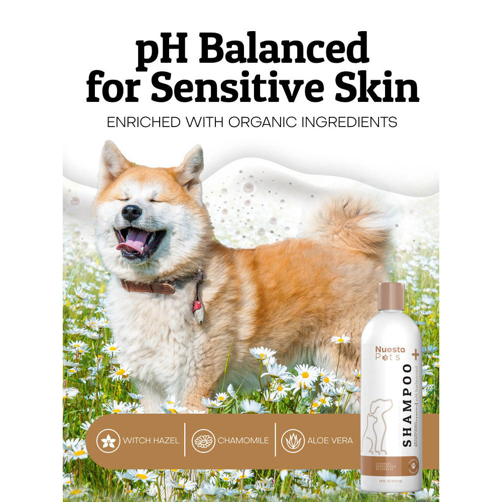 Hypoallergenic Oat Pet Shampoo for Dogs & Cats