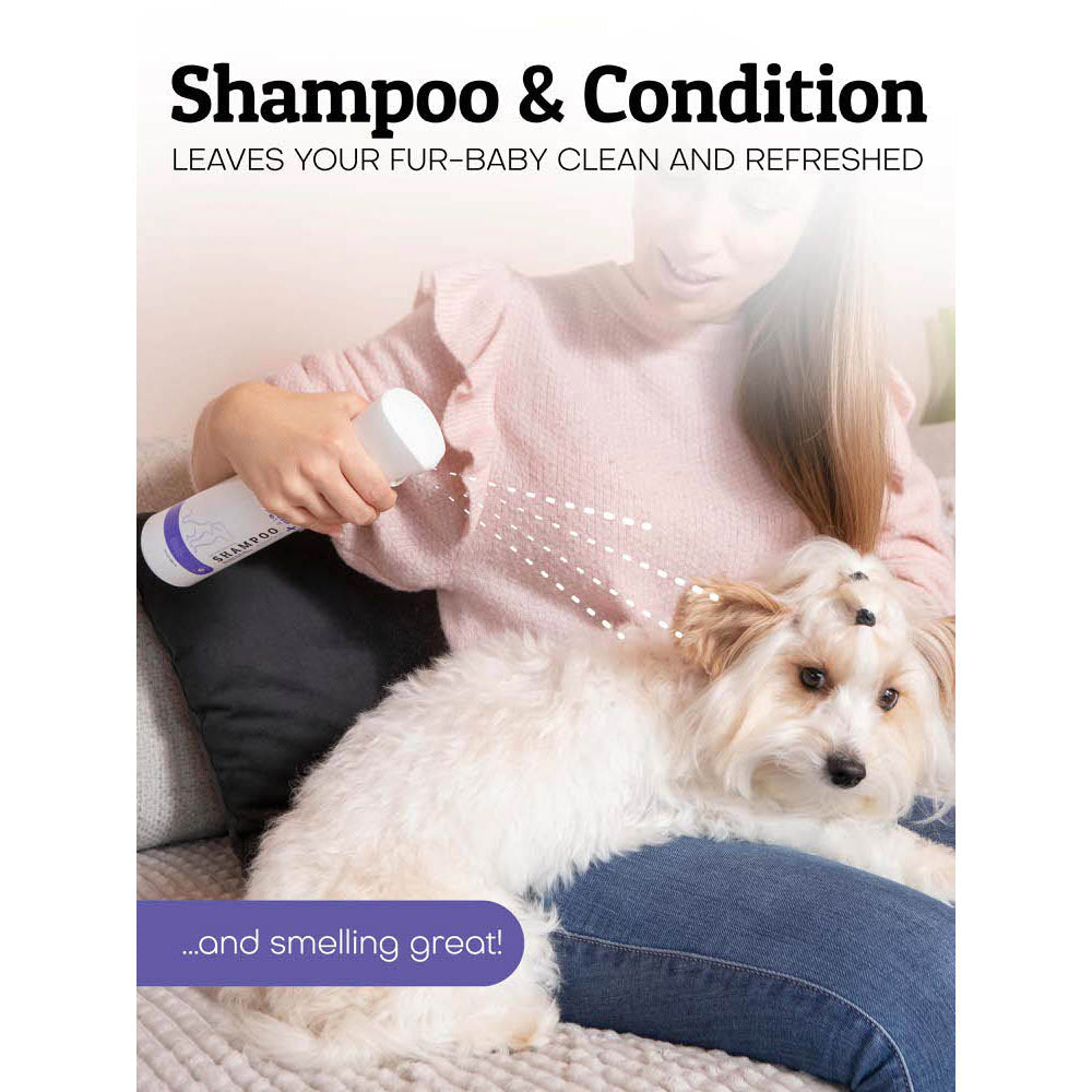 Waterless Lavender Spray-On Dog Shampoo