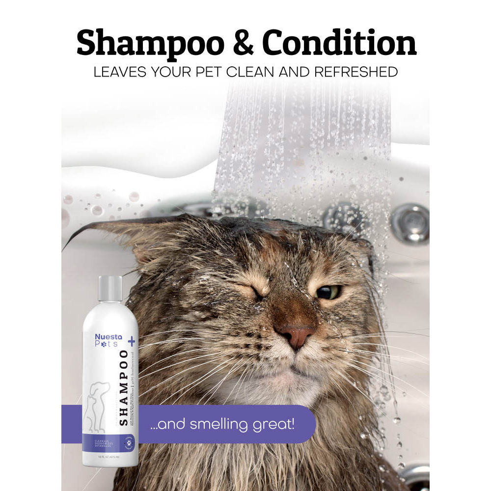 Lavender Pet Shampoo for Dogs