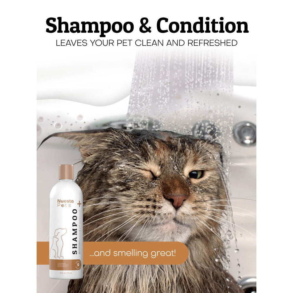 Hypoallergenic Oat Pet Shampoo for Dogs & Cats