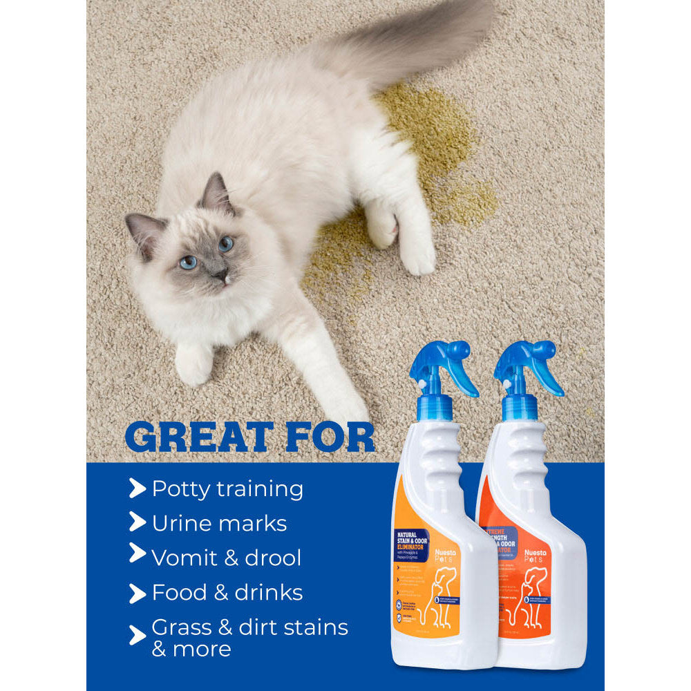 Stain & Odor Combo Pack