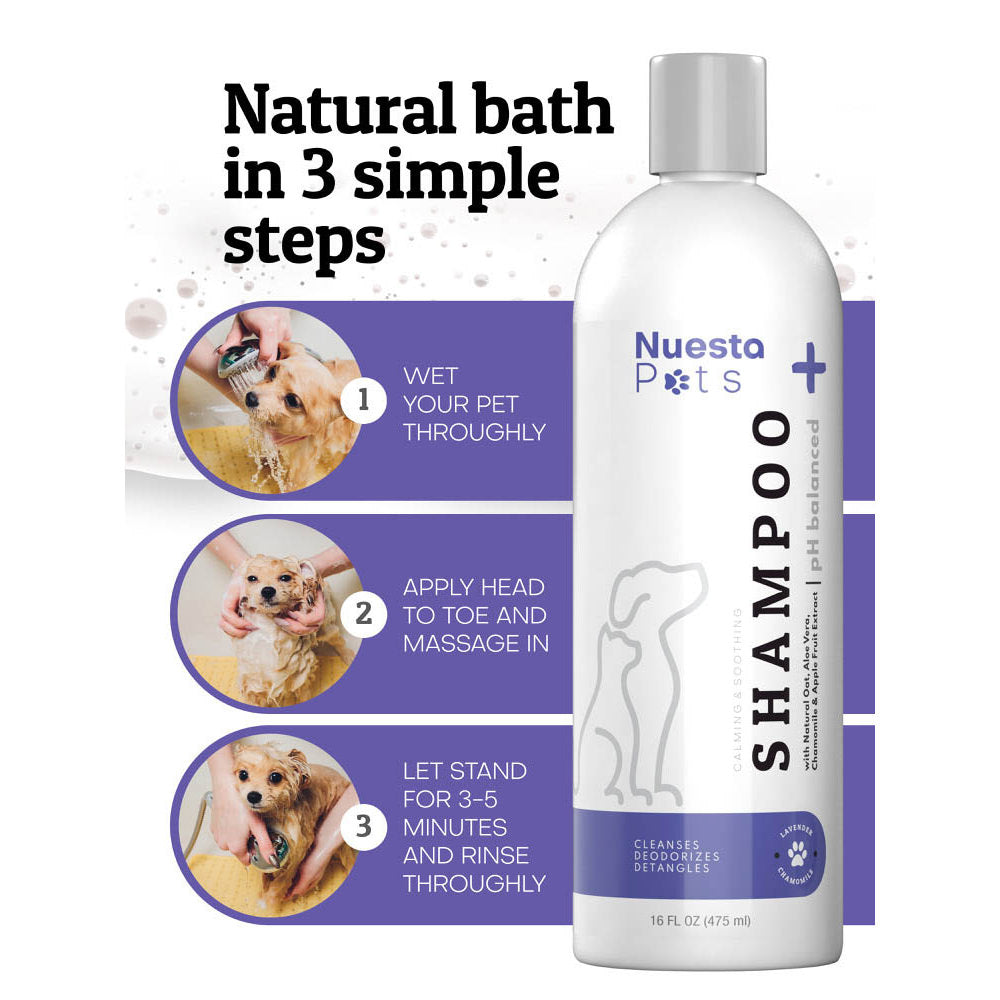 Lavender Pet Shampoo for Dogs