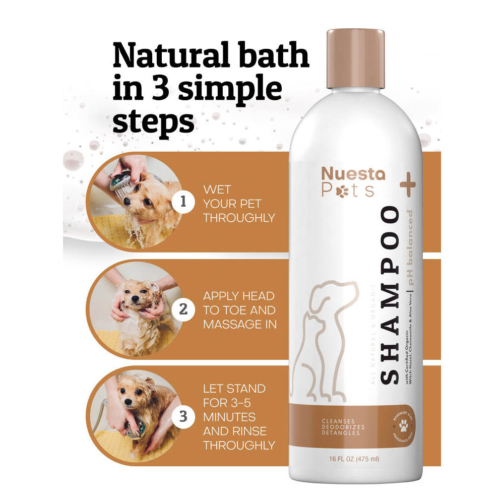 Hypoallergenic Oat Pet Shampoo for Dogs & Cats