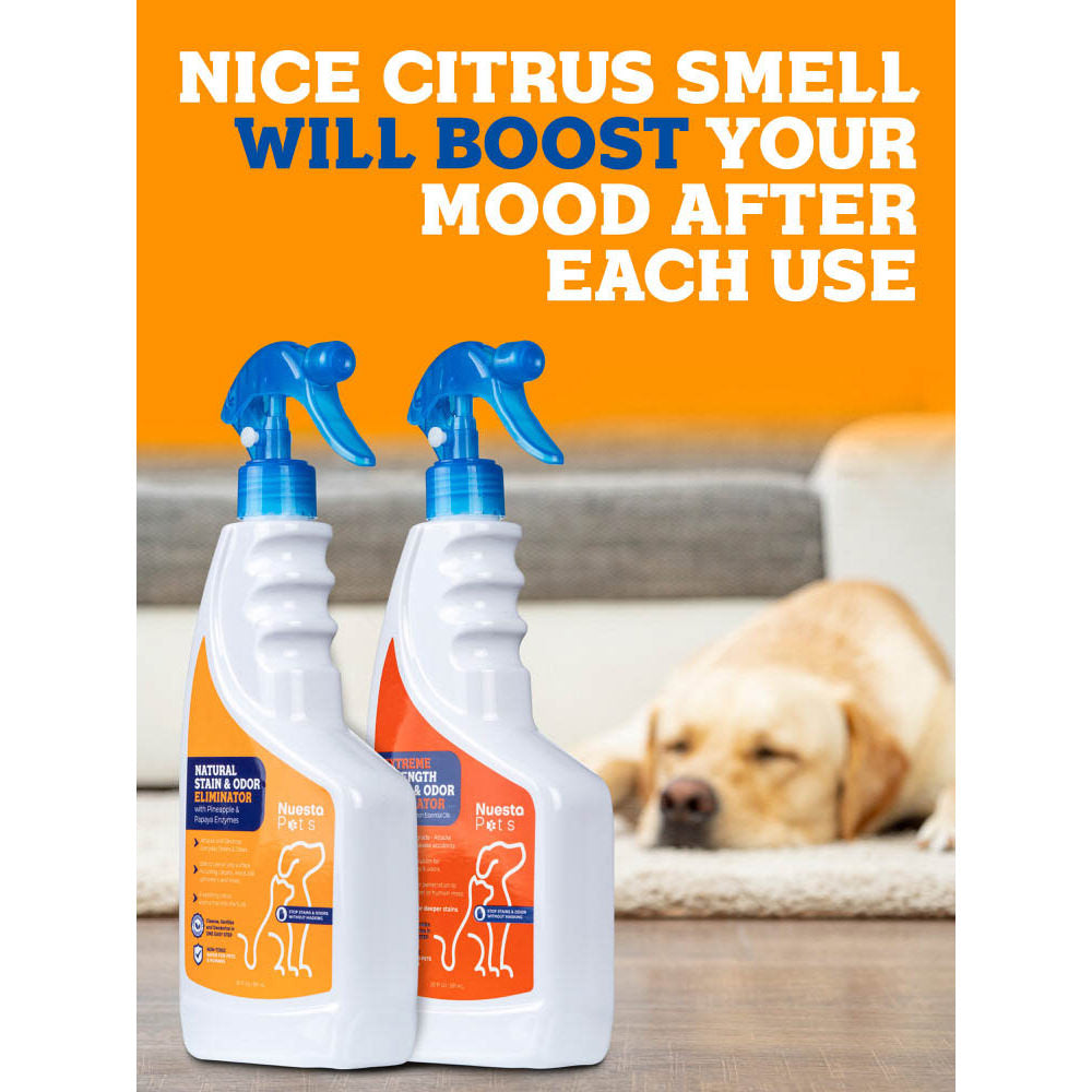 Stain & Odor Combo Pack