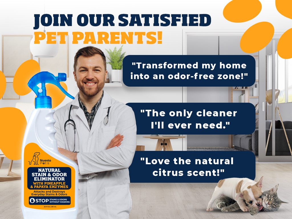 Pineapple & Papaya Enzyme Pet Stain & Odor Eliminator