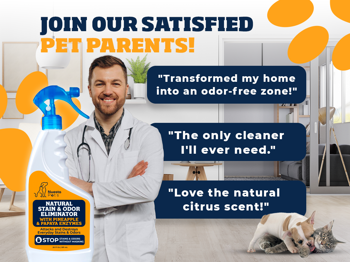 Pineapple & Papaya Enzyme Pet Stain & Odor Eliminator