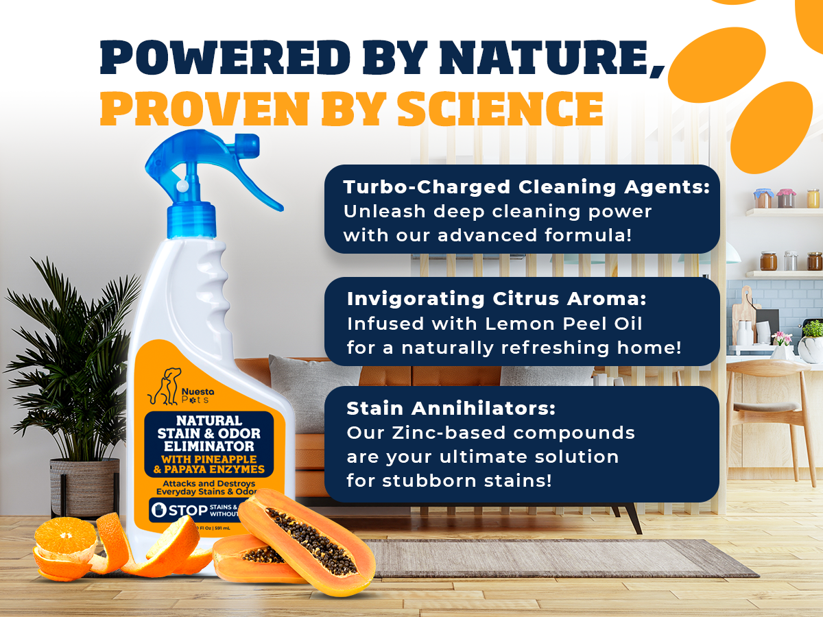 Pineapple & Papaya Enzyme Pet Stain & Odor Eliminator