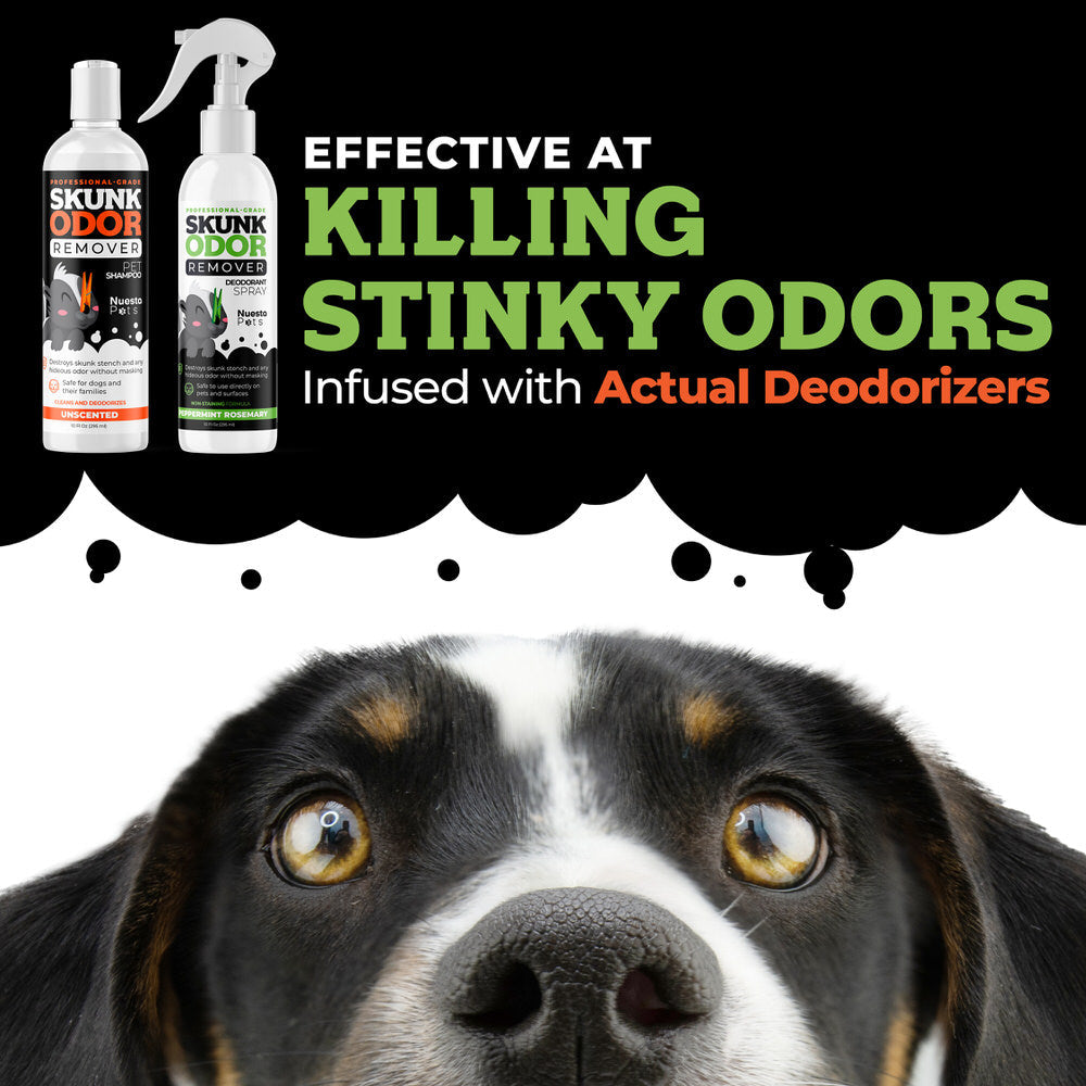 Skunk Odor Remover Shampoo & Spray Duo