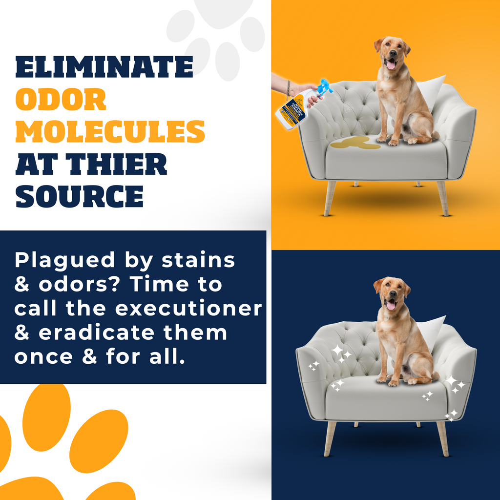 Pineapple & Papaya Enzyme Pet Stain & Odor Eliminator