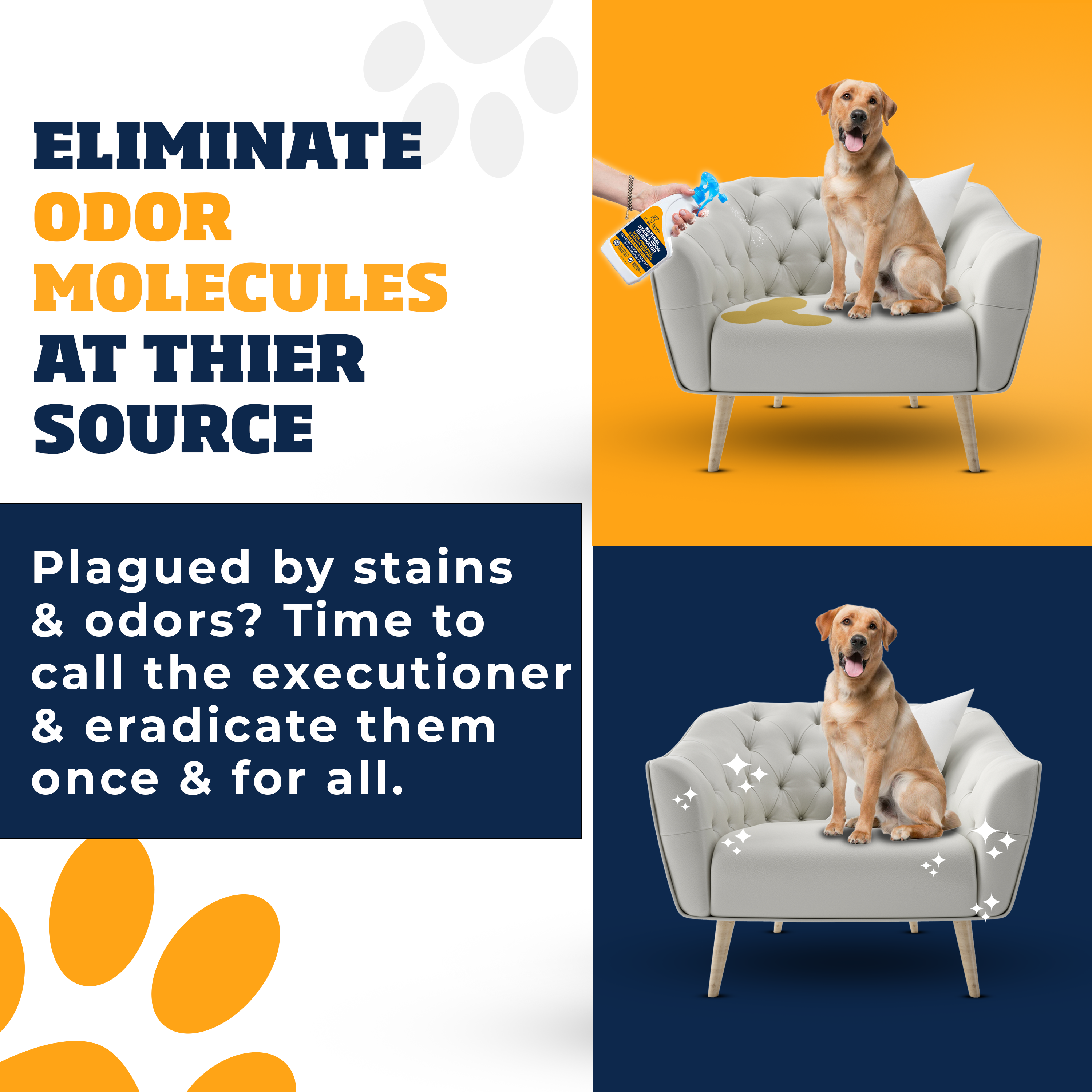 Pineapple & Papaya Enzyme Pet Stain & Odor Eliminator